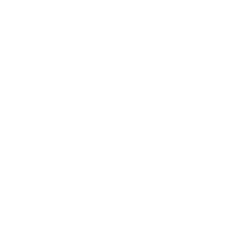 Logo Rossignol, client de Béton Sauvage